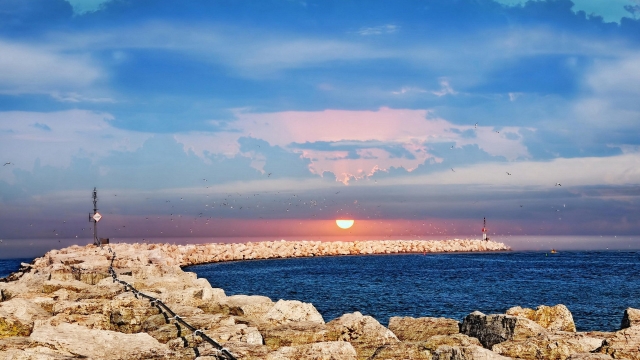 星空体育：塑胶跑道材料检测，保障比赛公平与安全